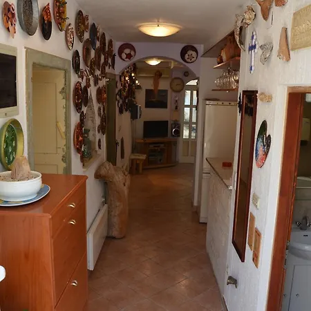 Apartment Violeta