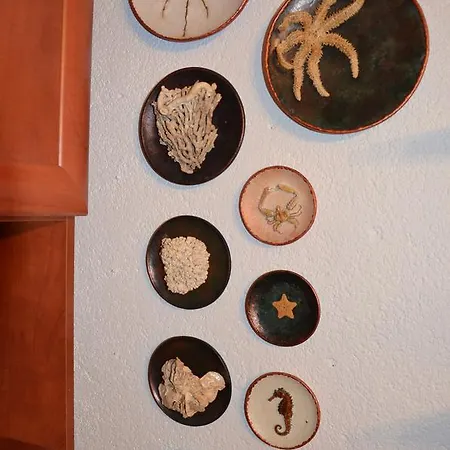 Apartment Violeta